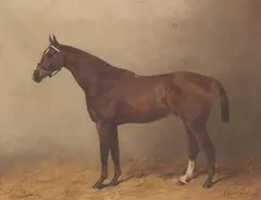 Henry Frederick Lucas Lucas, 'King Edward' - a Chestnut Hunter in Loosebox