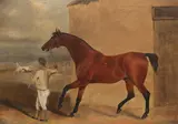 Joshua Lawrence, A Bay Stallion with Mare and Foal Beyond