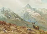 British School, 20th century, Disturbed at Barrisdale - Stag in Highland Landscape