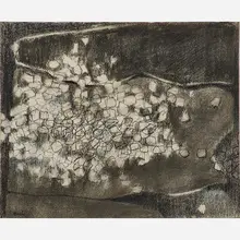 James Hiroshi Suzuki, Adrift