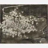 James Hiroshi Suzuki, Adrift