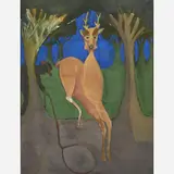 Francisco Toledo, Untitled