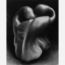 Edward Weston, Pepper #30