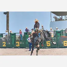 William Schenck, Butch Kelly on Rattler