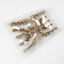 Frances and Michael Higgins, plate, 1950s, fused glass