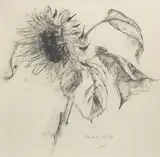 Sunflower by Alberto Morrocco Obe Rsa Rsw Rp Rgi Lld D Univ, offered Sep 2019