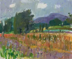 John Cunningham Rgi DLitt, Summer Day
