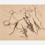 Willem de Kooning, Untitled (Woman in Landscape)