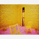 Sandy Skoglund, Hangers