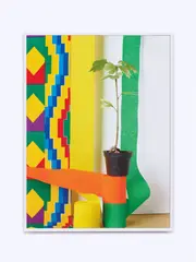 Gingko by Annette Kelm, 2019, Archival Pigment Print, sold Dec 2021