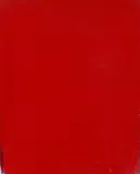 Joseph Marioni, RED PAINTING, 2002, Acryl auf Leinwand