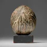 Adam Silverman, Untitled