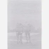 Dirk Krecker, Untitled, Germany