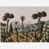 Salvo, Untitled (Shore)