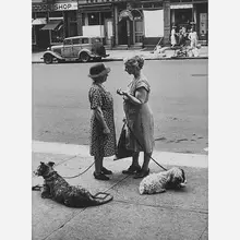 Dan Weiner, Untitled