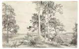 Adolph von Menzel, Landschaft mit Baumgruppe im Vordergrund. 1850er Jahre