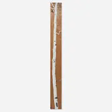 Amanda Weil, Aspen Panel, 2016, screenprint in colors on black walnut