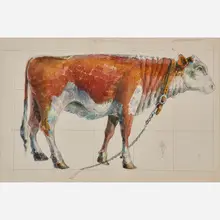 Buttercup by Don Nice, sold Nov 2018