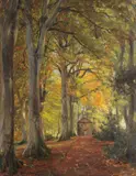 Alexander Brownlie Docharty, Beech Trees at Kilkerran, Ayrshire