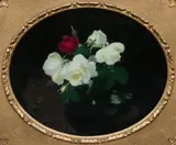 Stuart Park, Red and White Roses