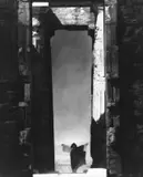 Edward Steichen, Isadora Duncan at the Portal of the Parthenon, Athens