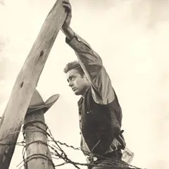Portfolio JAMES DEAN by Frank Worth, 9 posthume, vom Nachlass autorisierte Platin-Abzüge, sold Dec 2020