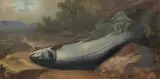 John Russell, Salmon on a bank
