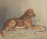 Marion Rodger Hamilton Harvey, Golden Retriever