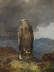 Eagle by James Faed Jnr, oil on canvas, offered May 2019