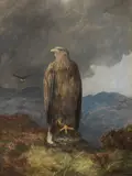 James Faed Jnr, Eagle, oil on canvas