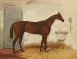 Harry Hall, Cossack, oil on canvas