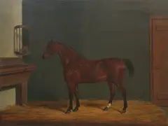 James Loder, The Rev. D Locke's hunter, oil on canvas