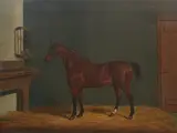 James Loder, The Rev. D Locke's hunter, oil on canvas