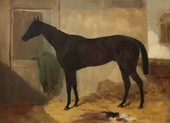 Harry Hall, Van Tromp, oil on canvas