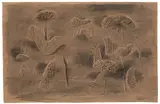 Willi Baumeister, Kammzugfiguren im Dialog, 1948, Kohle und Ölkreide auf rotbraunem Ingres-Bütten