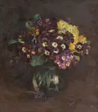 Davina F. Brown, Primulas