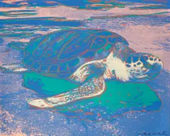 Andy Warhol, Turtle, 1985, Farbserigraphie auf Karton