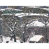 Emil Armin, Snow Curtain (Chicago), oil on artist board