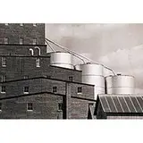Fred Graham, Composition, vintage gelatin silver print