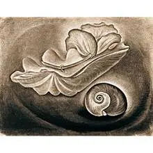 Edloe Risling, Untitled (Still Life in B&W), pastel on paper