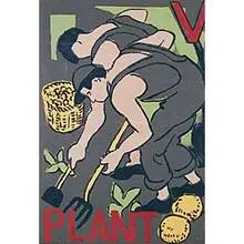 Flora Schofield, Plant, c. 1940, screenprint on paper