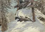 Hans am Ende, Lärche im Schnee