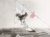 Werner Rohde, Schema Storch. Vermutlich 1950er Jahre, Silbergelatineabzug mit Einzeichnungen in schwarzer Tusche, rotem Filzstift und weißer Deckfarbe sowie collagierten Bildteilen mit Einzeichnungen. Unikat