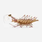 Irving Harper, Untitled (Insect)