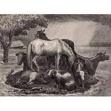 John Steuart Curry, Sanctuary, 1944, lithograph on paper