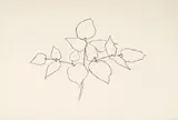 Ellsworth Kelly, Woodland Plant