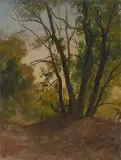 Baumstudie by Christian Friedrich Gille, Um 1835, Öl auf Papier, auf Hartfaser, sold Jun 2025