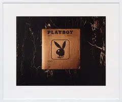 Taryn Simon, Playboy Braille Edition. Playboy Enterprises, Inc. New York, New York“, aus der Serie: „An American Index of the Hidden and Unfamiliar, 2006, C-Print