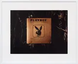 Taryn Simon, Playboy Braille Edition. Playboy Enterprises, Inc. New York, New York“, aus der Serie: „An American Index of the Hidden and Unfamiliar, 2006, C-Print