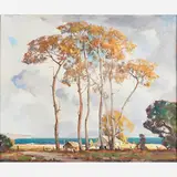 Orrin Augustine White, Sycamore